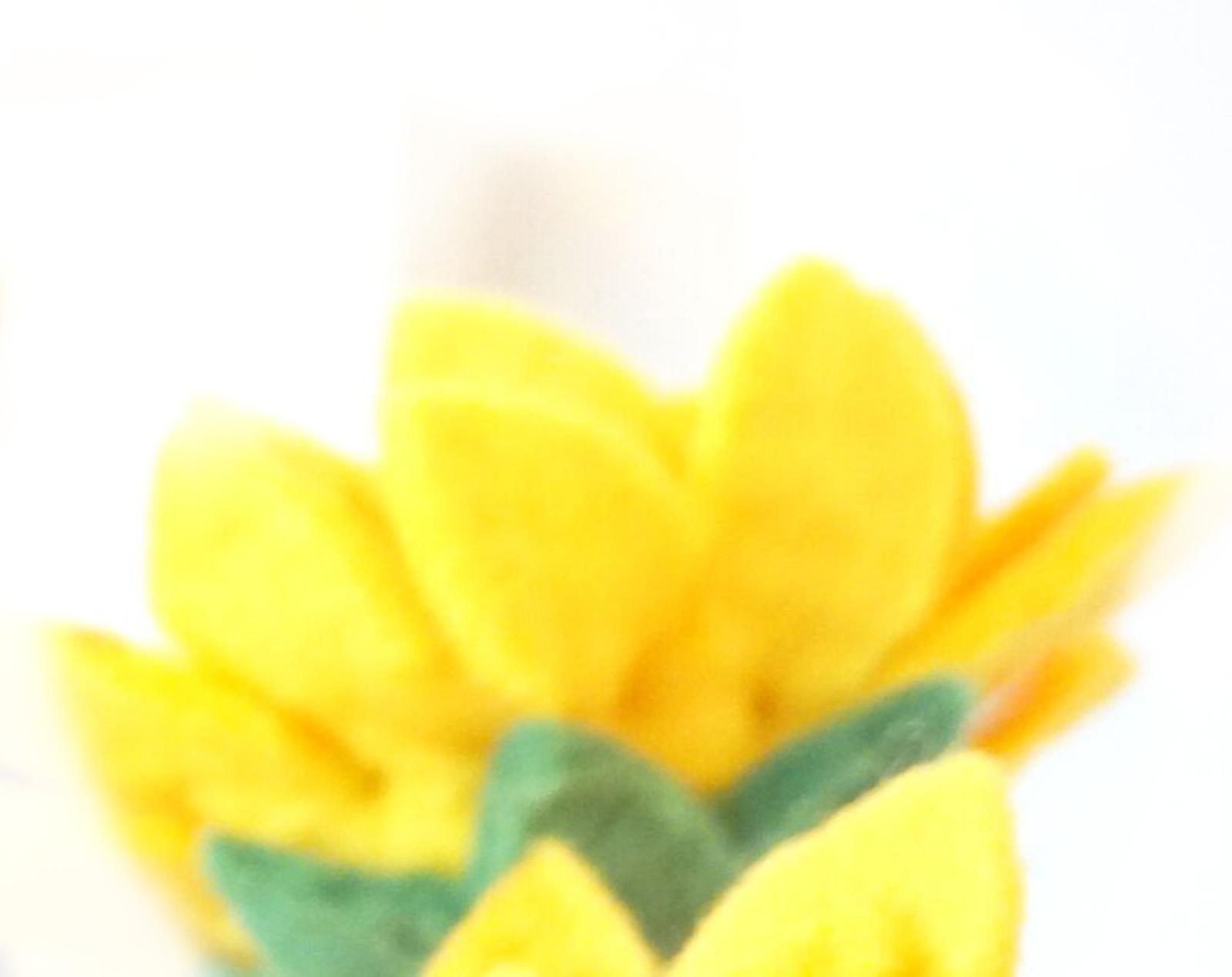 Sigrid Schlag Systemische Beratung Regensburg